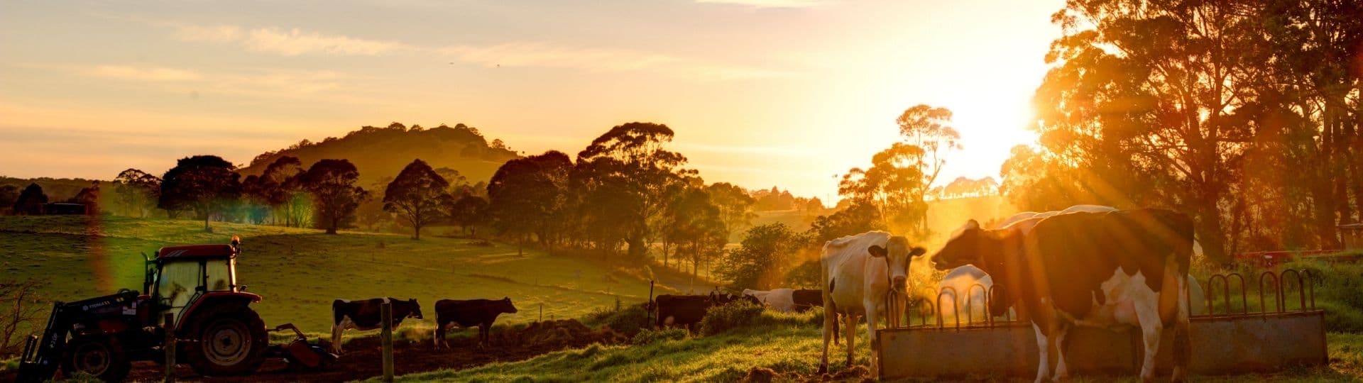 Image représentant le thème Eau & alimentation